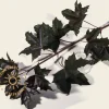 Acer platanoides 'Royal Red'