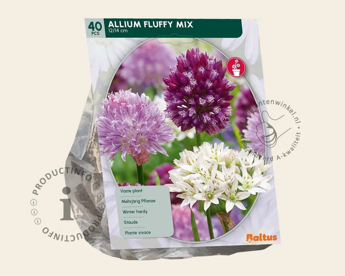 Allium Fluffy Mix