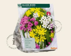 Allium Mixed