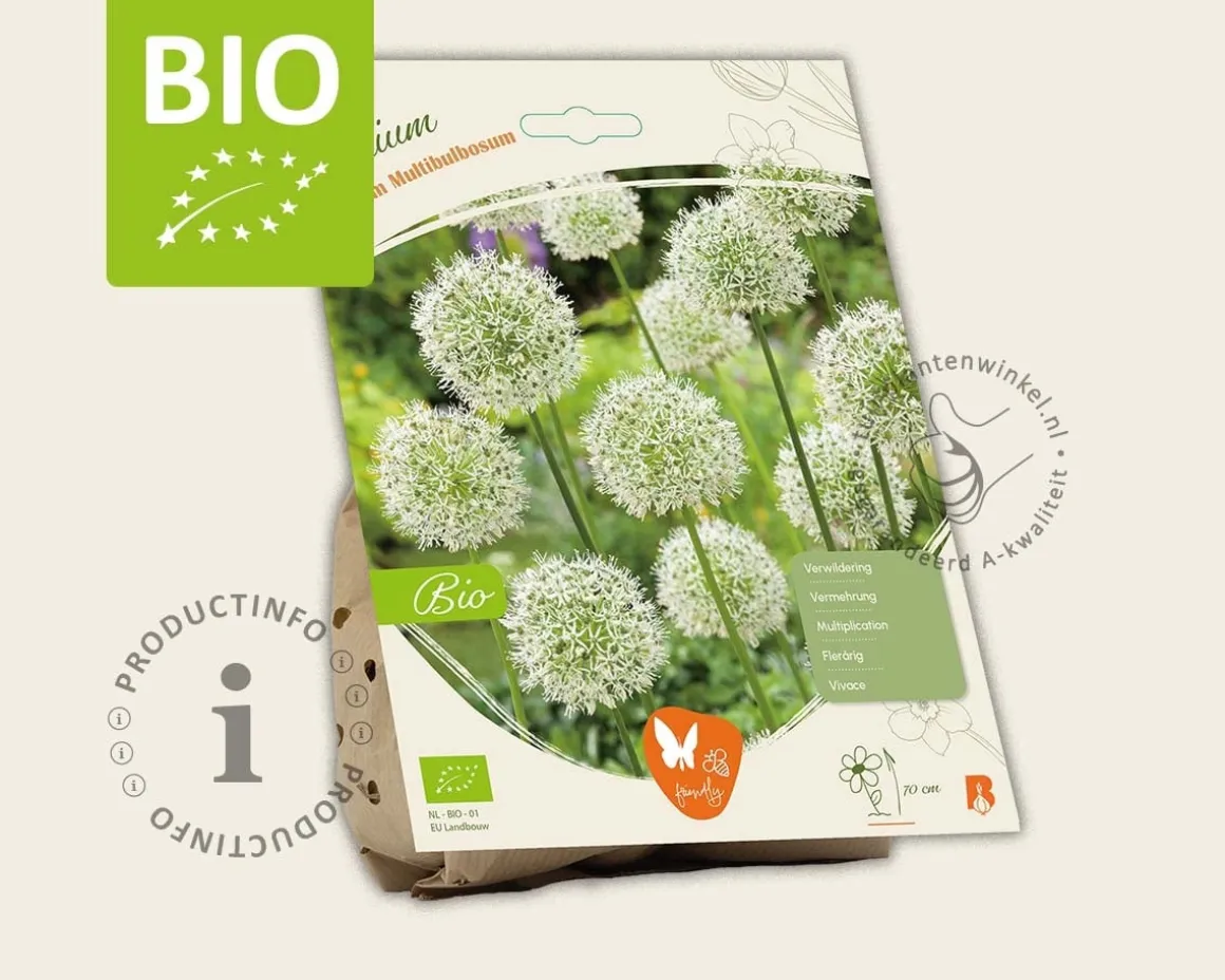 Allium nigrum - BIO