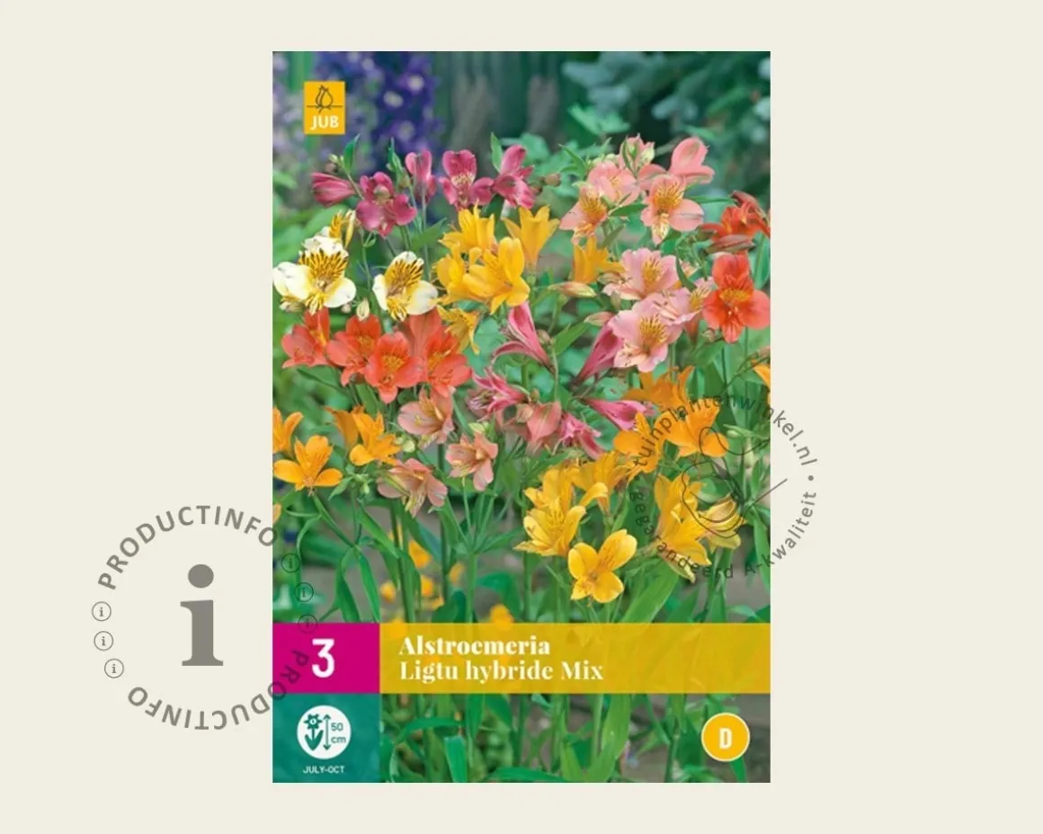 Alstroemeria Ligtu Hybriden Mix - wortelstok