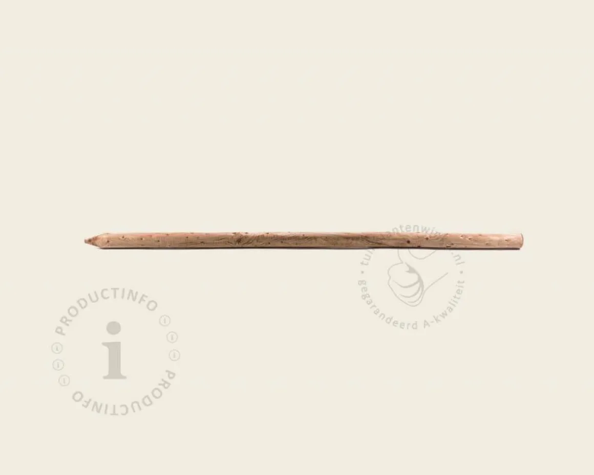 Boompaal - 150 cm