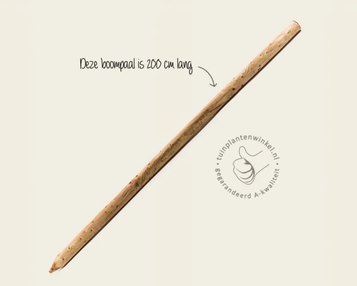 Boompaal - 200 cm