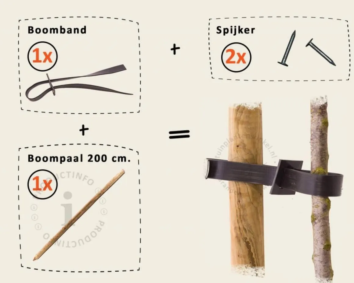 Boompaal - 200 cm + boomband