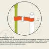 Boompaal - 150 cm + boomband