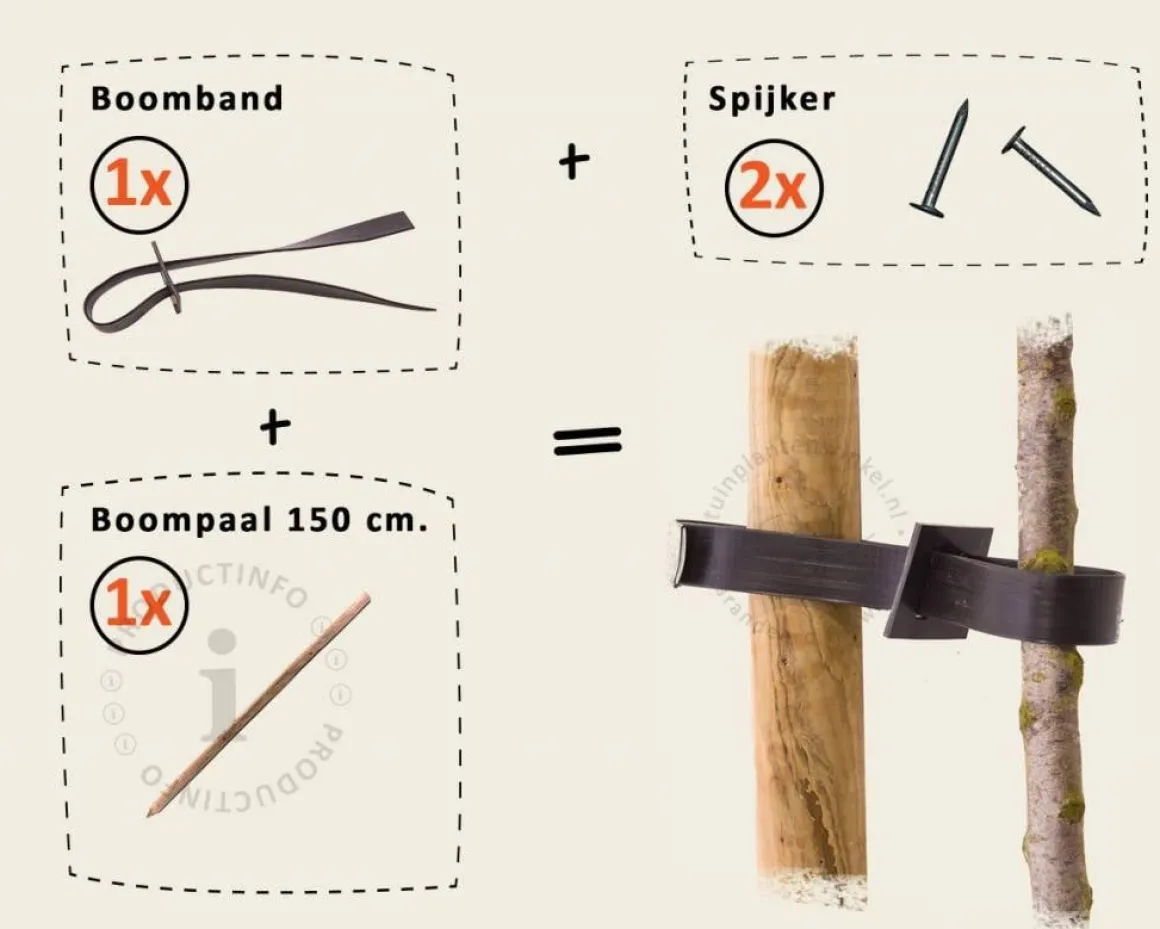 Boompaal - 150 cm + boomband