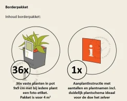 Borderpakket Caerulea zon-halfschaduw - (pakket 06)