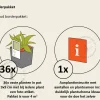 Borderpakket Variegata zon-halfschaduw - (pakket 16)