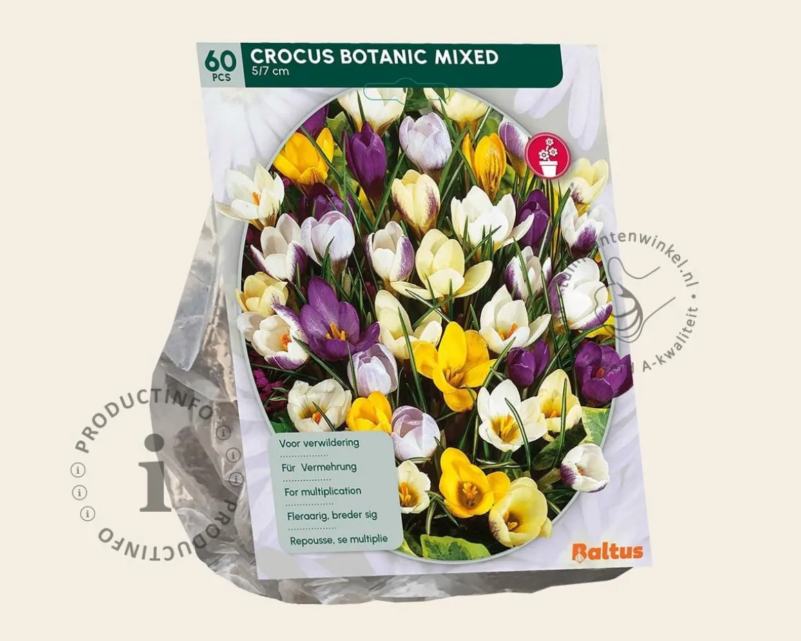 Crocus Botanisch Mix