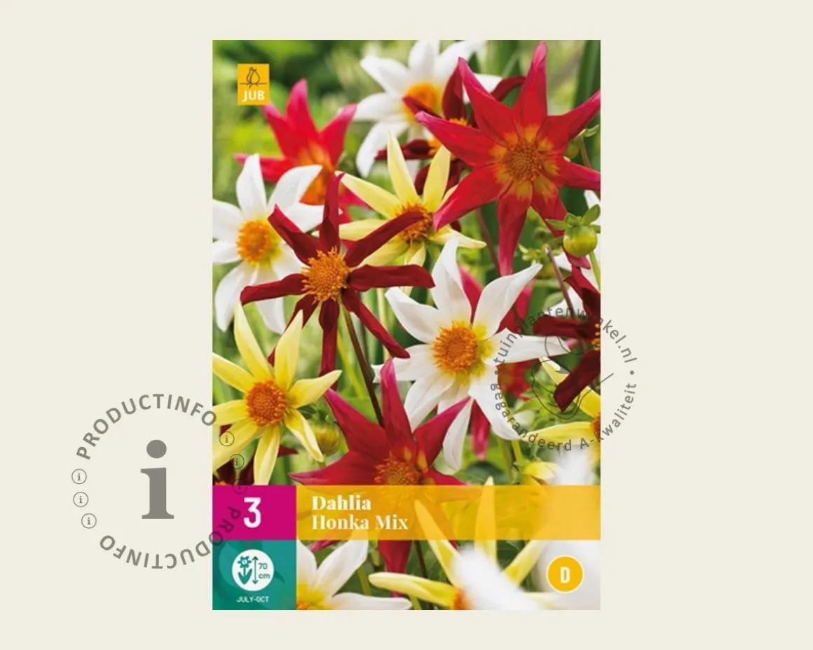 Dahlia Honka Mix