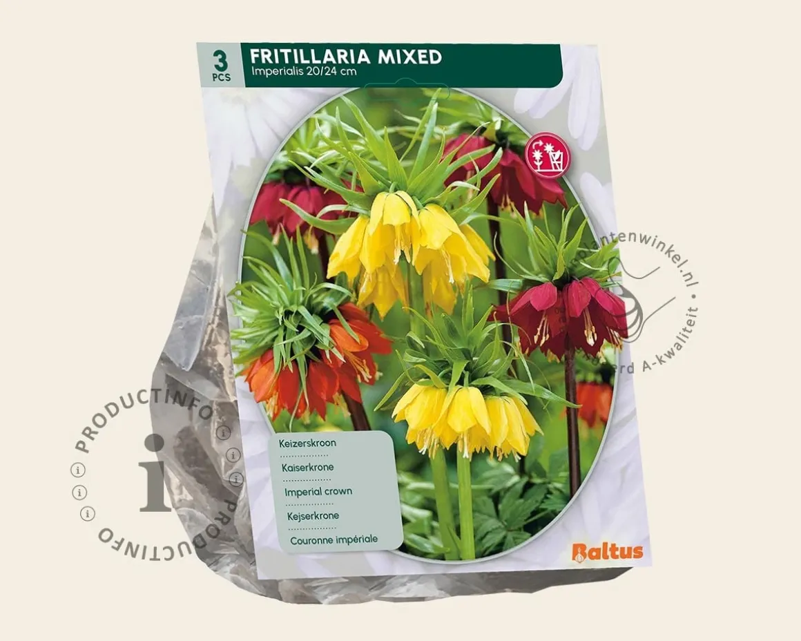 Fritillaria imperialis Mix