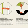 Ginkgo biloba 'Menhir' - beveerd
