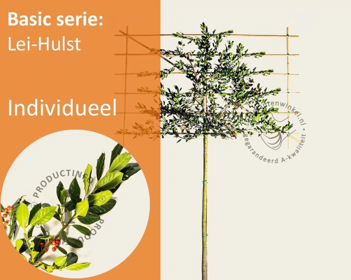 Leihulst - Rek 180x110 cm