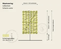 Lei-Sierappel 'Evereste' - Scherm