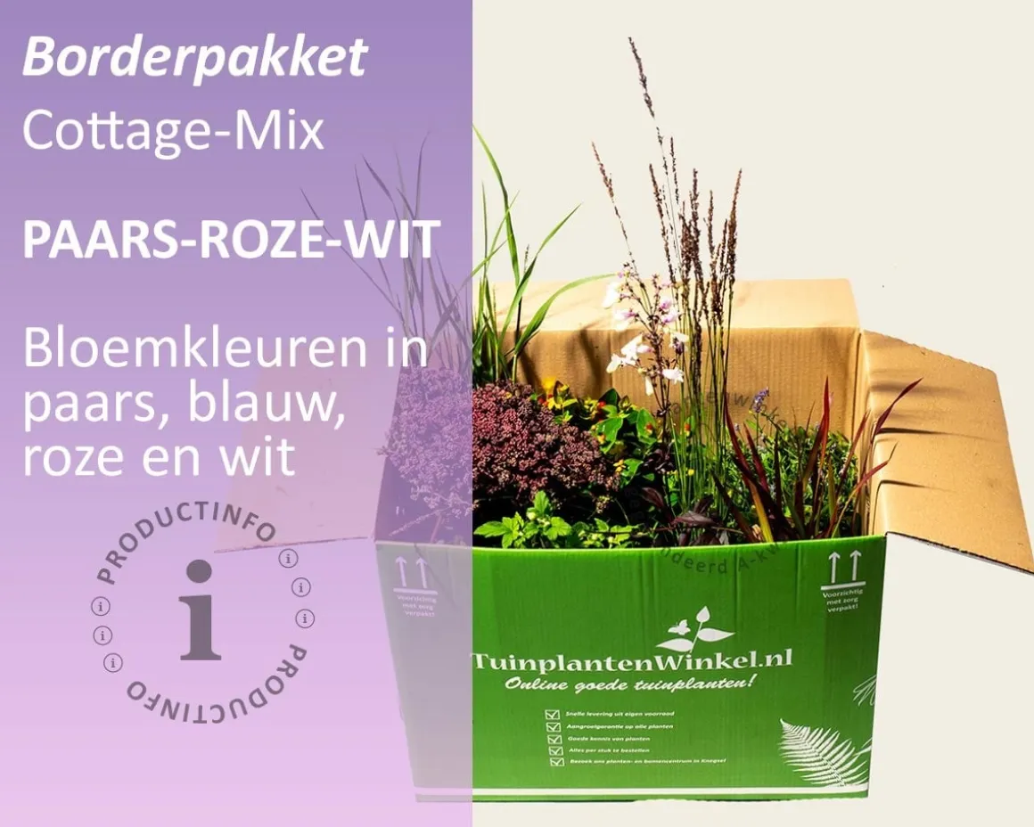 Mix borderpakket Cottage Mix - Paars-Roze-Wit