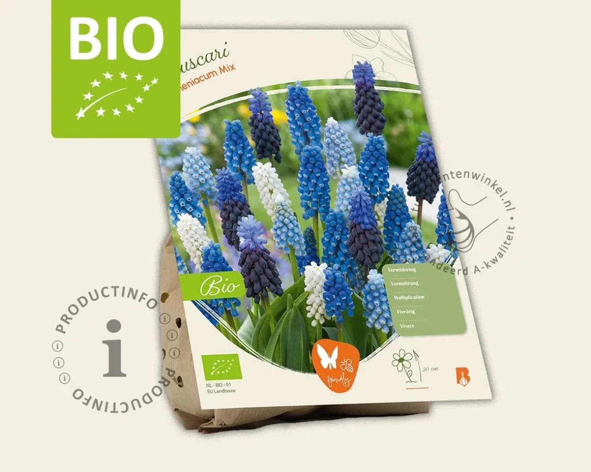 Muscari Mix - BIO