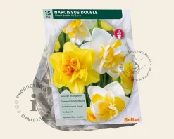 Narcissus Double Mix