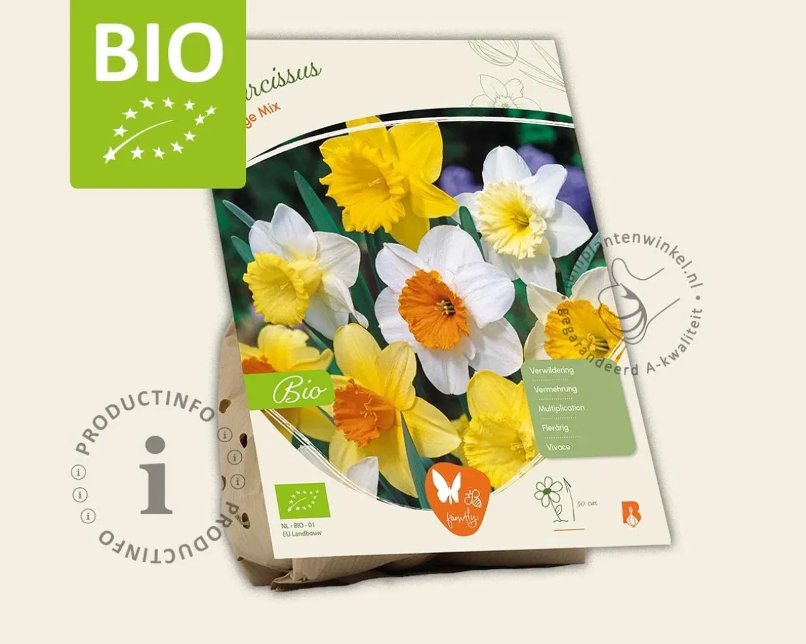 Narcissus Large Mix - BIO