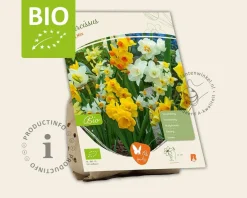 Narcissus Mini Mix - BIO