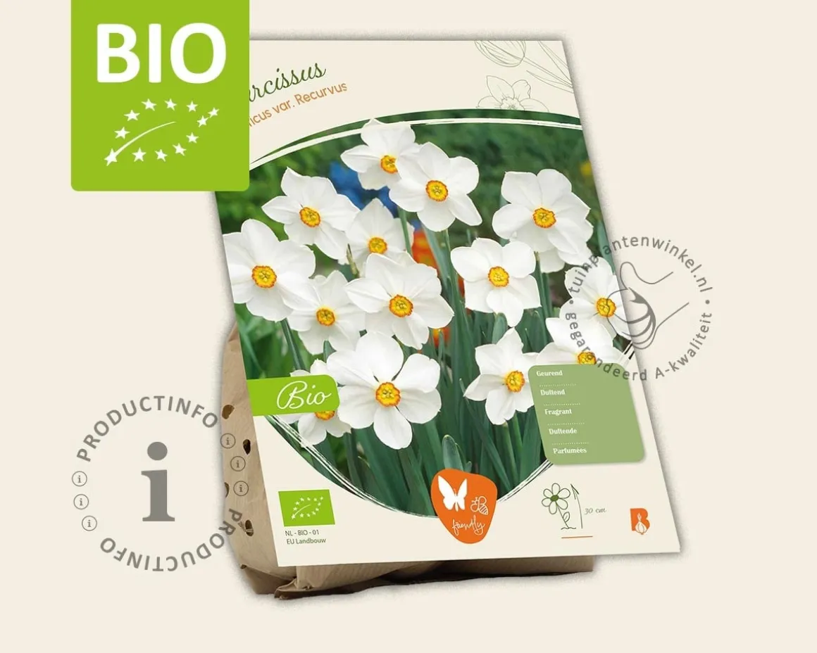 Narcissus poeticus var. recurvus - BIO