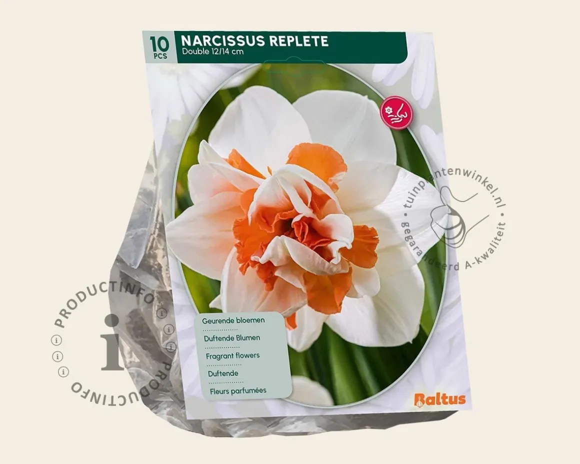 Narcissus 'Replete'