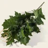 Quercus palustris 'Green Dwarf' - 200 cm stam