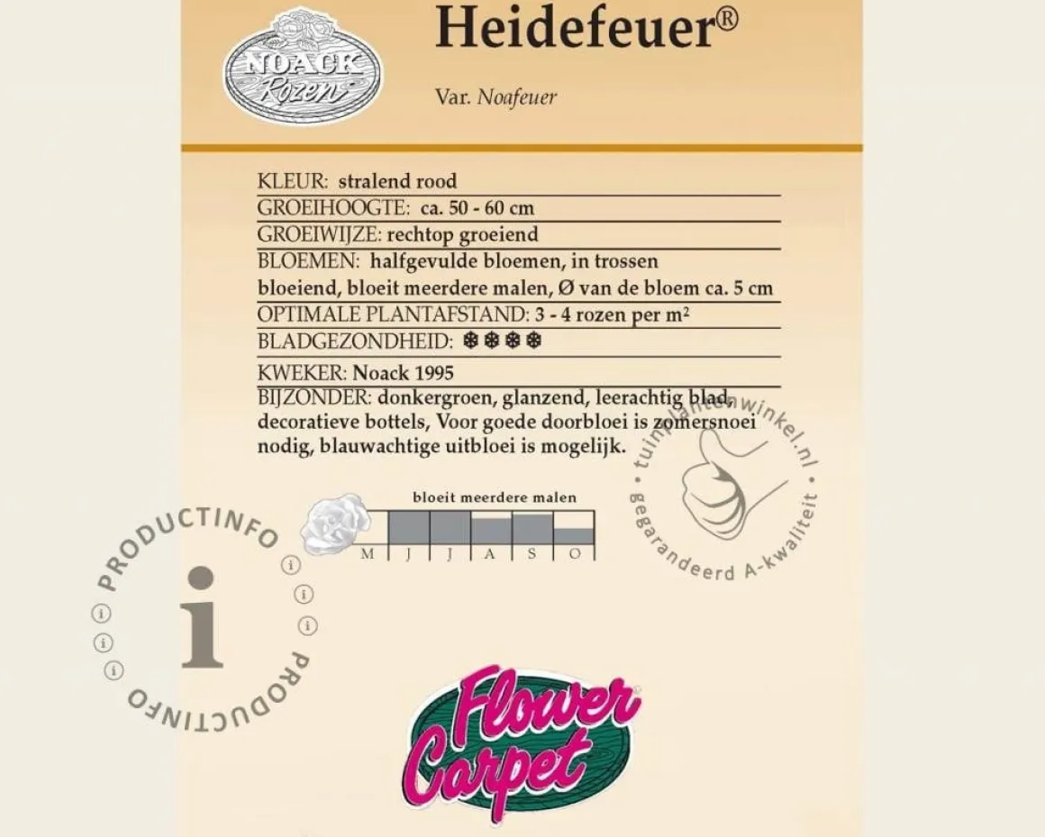 Rosa Flower Carpet 'Heidefeuer' - op stam