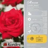 Rosa 'Grande Amore'