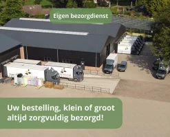 Sagittaria latifolia