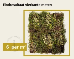 Sedummat