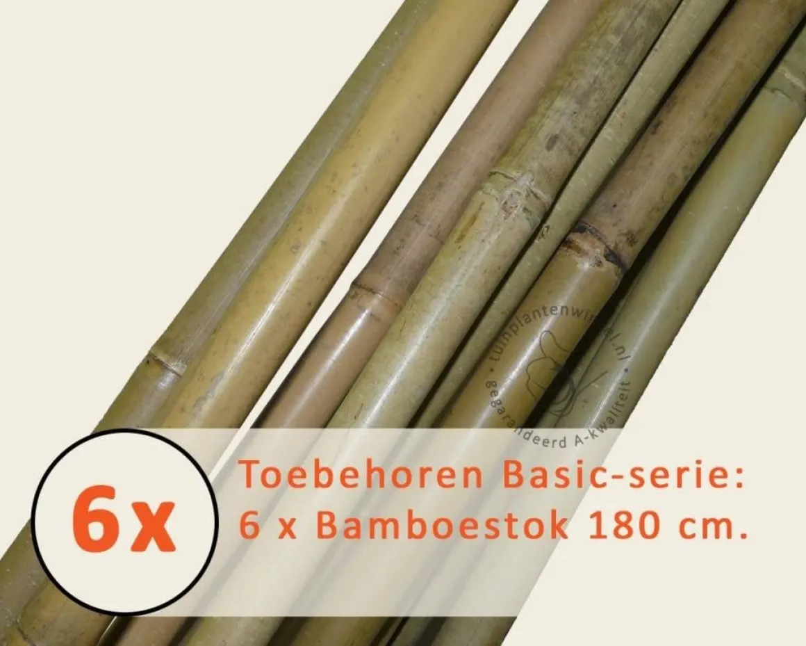 Toebehoren Leibomen Basic los bestellen - Bamboestok