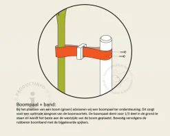 Toebehoren Leibomen los bestellen - Paal 150 cm + Band