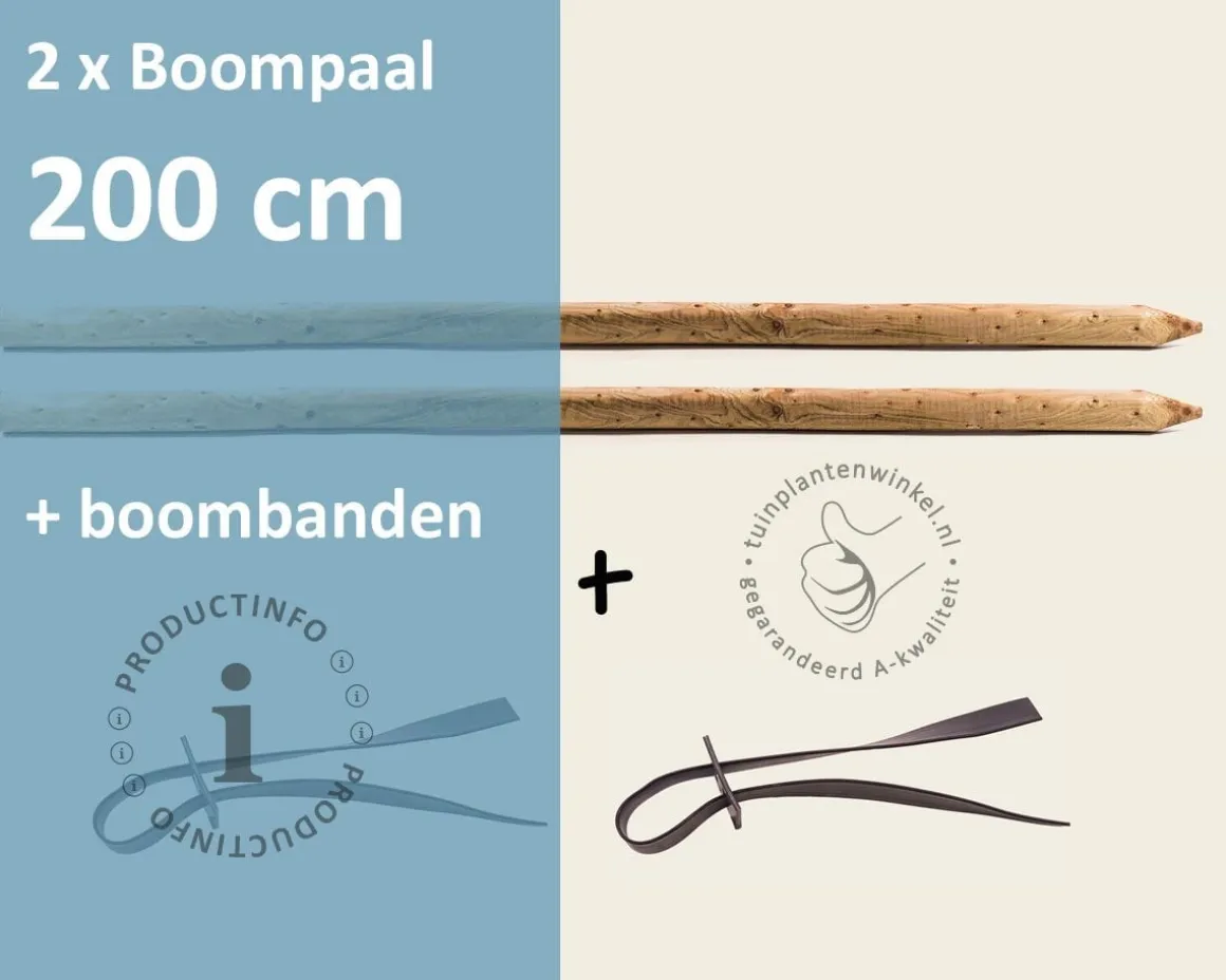 Toebehoren Leibomen 150-serie los bestellen - 2 Palen 200 cm + 2 Banden