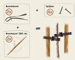 Toebehoren Leibomen 150-serie los bestellen - 2 Palen 200 cm + 2 Banden