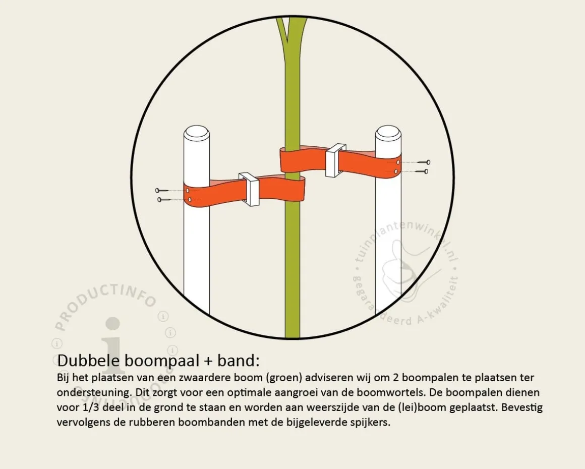 Toebehoren Leibomen 150-serie los bestellen - 2 Palen 200 cm + 2 Banden