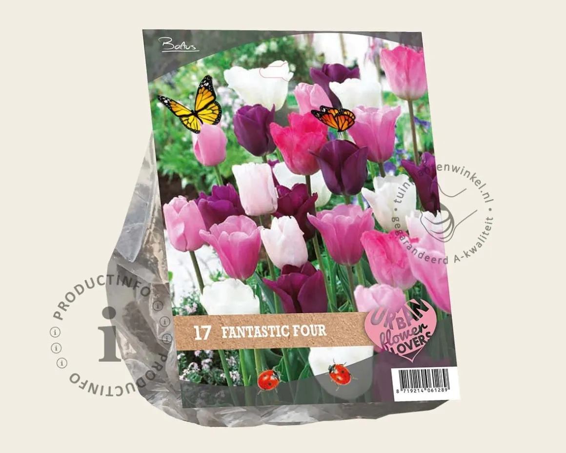 Tulipa Fantastic Four