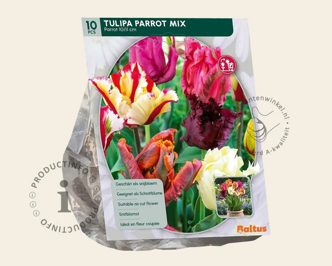 Tulipa Parrot Mix