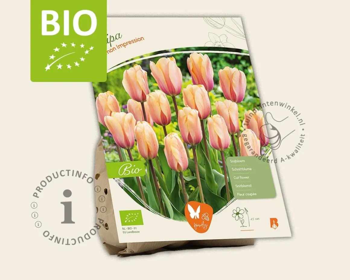 Tulipa 'Salmon Impression' - BIO